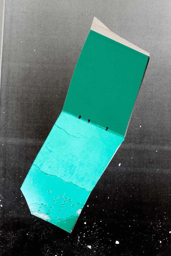 Claudia Weber - Frequent, Occasional, Rare, Unknown exhibition