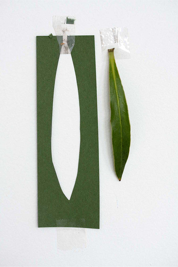 Claudia Weber - Inquisitive Stage installation